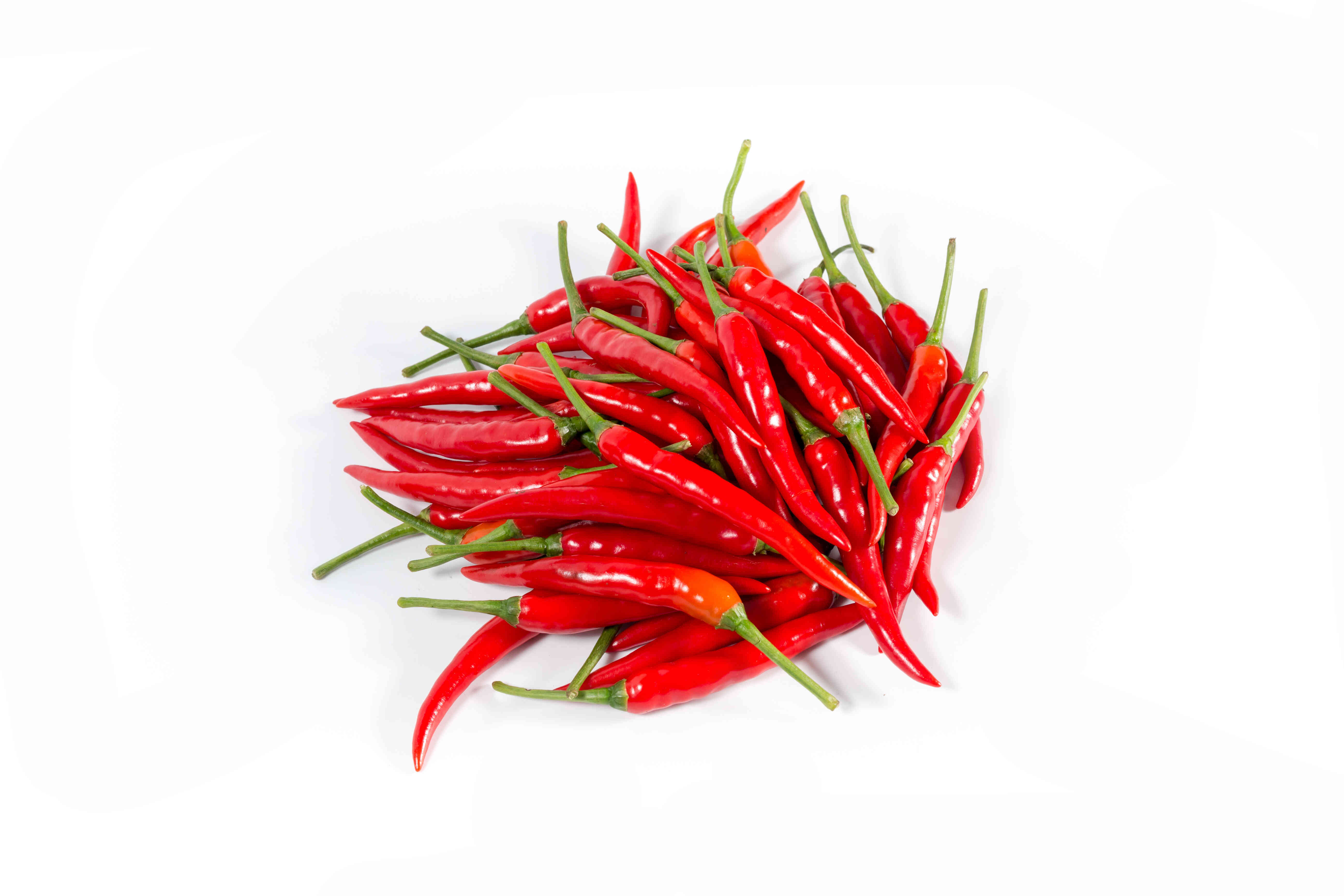 Red Chilli