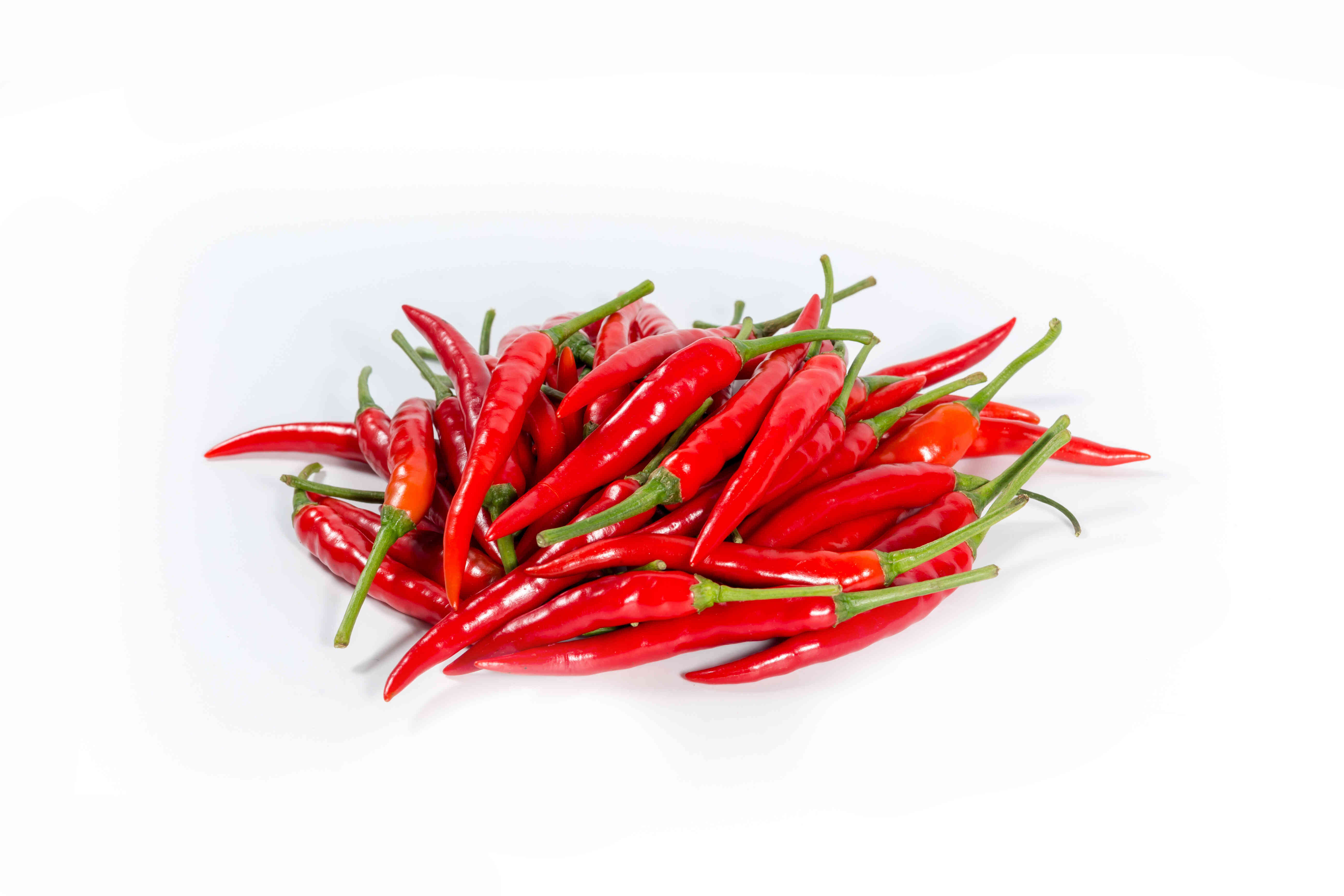 Red Chilli